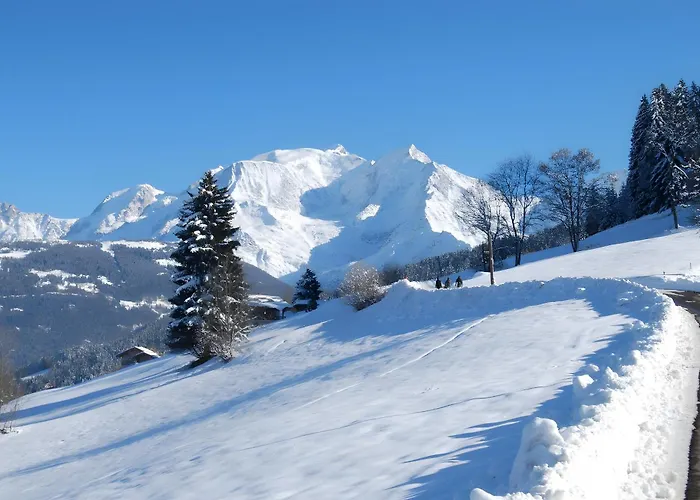 La Ferme Du Mont Blanc לינה וארוחת בוקר 3*
